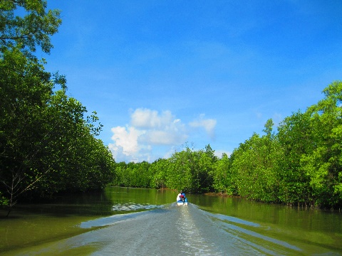 Đi Đất Mũi Cà Mau bằng phương tiện thủy